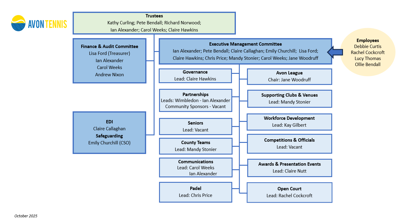 Avon Tennis CIO Organisational Structure