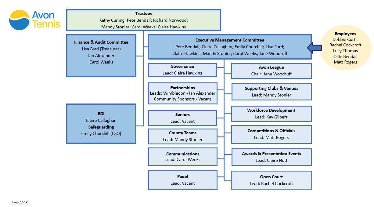 Avon Tennis CIO Organisational Structure